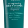 Aveda Botanical Repair™ Strengthening Leave-in Treatment