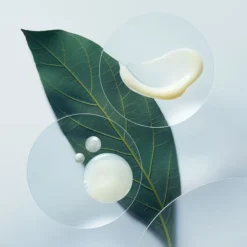 Aveda Botanical Repair™ Strengthening Leave-in Treatment 28 Aveda Botanical Repair™ Strengthening Leave-in Treatment -Pas Cher Fee Lisse Magasin aveda botanical repair strengthening leave in treatment soin fortifiant sans rincage pour cheveux abimes 12