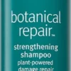 Aveda Botanical Repair™ Strengthening Shampoo -Pas Cher Fee Lisse Magasin aveda botanical repair strengthening shampoo shampoing fortifiant pour cheveux abimes
