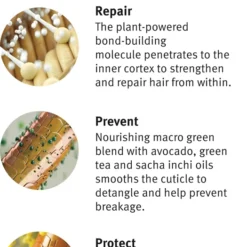 Aveda Botanical Repair™ Strengthening Shampoo -Pas Cher Fee Lisse Magasin aveda botanical repair strengthening shampoo shampoing fortifiant pour cheveux abimes 6