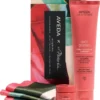 Aveda Nutriplenish™ Deep Moisture Treatment Duo -Pas Cher Fee Lisse Magasin aveda nutriplenish deep moisture treatment duo coffret cadeau pour cheveux