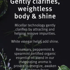 Aveda Rosemary Mint Purifying Shampoo -Pas Cher Fee Lisse Magasin aveda rosemary mint purifying shampoo shampoing nettoyant en profondeur brillance 4