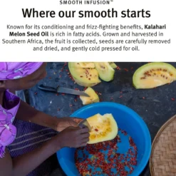 Aveda Smooth Infusion™ Anti-Frizz Shampoo -Pas Cher Fee Lisse Magasin aveda smooth infusion anti frizz shampoo shampooing lissant anti frisottis 9