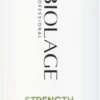 Biolage Strength Recovery
