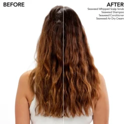 Bumble And Bumble Seaweed Air Dry Leave-In 12 Bumble And Bumble Seaweed Air Dry Leave-In -Pas Cher Fee Lisse Magasin bumble and bumble seaweed air dry leave in creme coiffante a lextrait dalgues marines 4