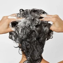 Bumble And Bumble Seaweed Shampoo 10 Bumble And Bumble Seaweed Shampoo -Pas Cher Fee Lisse Magasin bumble and bumble seaweed shampoo shampoing pour cheveux boucles aux extraits dalgues marines 2