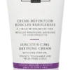 Christophe Robin Luscious Curl Defining Cream With Chia Seed Oil