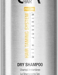 GK Hair Dry Shampoo