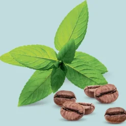 Londa Professional Vital Booster -Pas Cher Fee Lisse Magasin londa professional vital booster serum fortifiant et regenerant pour cheveux pour cheveux abimes 4