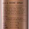 REF Hold & Shine Spray N°545