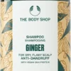The Body Shop Ginger -Pas Cher Fee Lisse Magasin the body shop ginger shampoing antipelliculaire